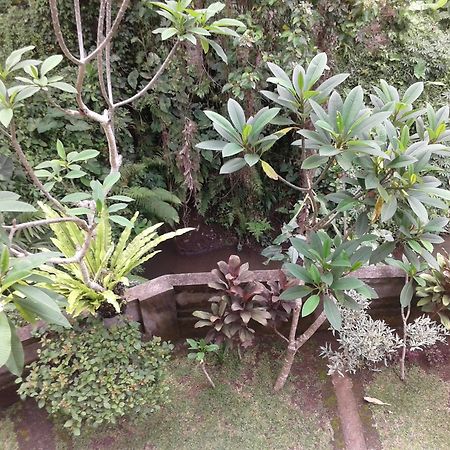 Dewi Ayu Accomodation Ubud Exteriör bild