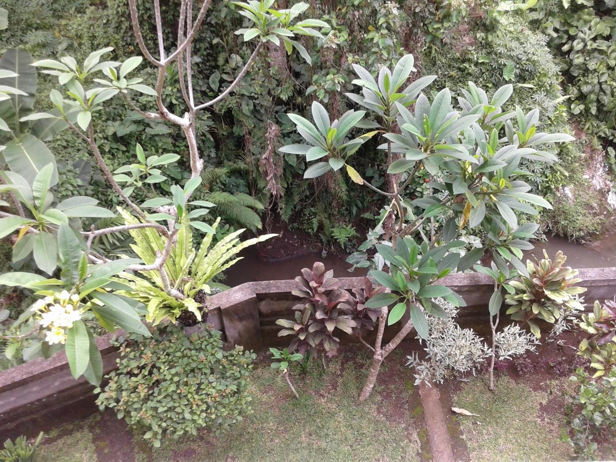 Dewi Ayu Accomodation Ubud Exteriör bild